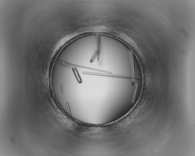 X0000111011176200906261513