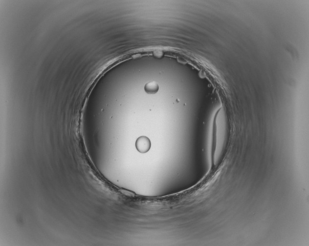 X0000111011177200906261513