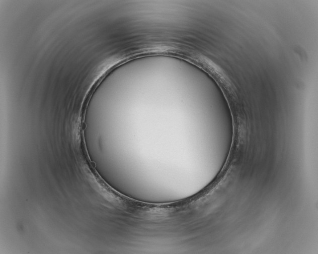 X0000111011178200906261513