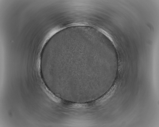 X0000111011179200906261513