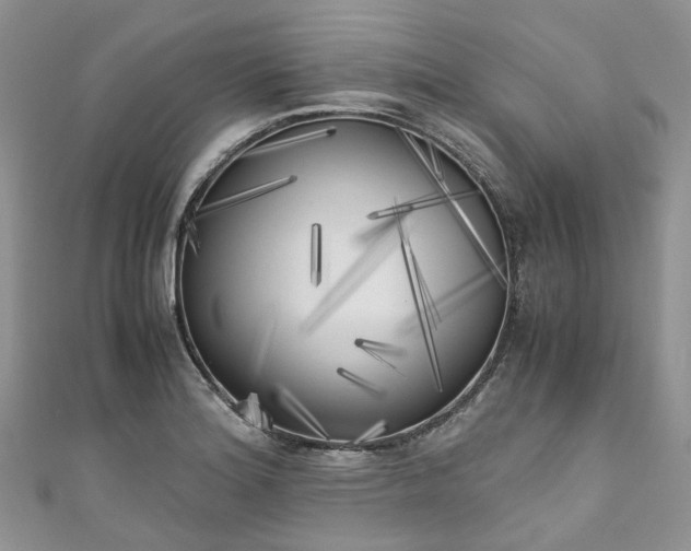 X0000111011180200906261513
