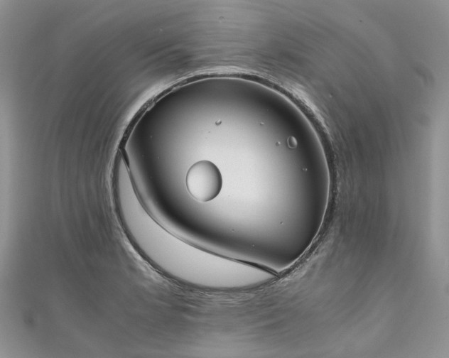 X0000111011181200906261513