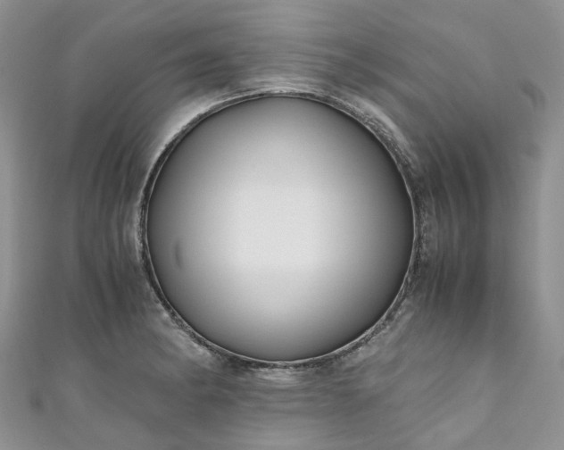 X0000111011182200906261513