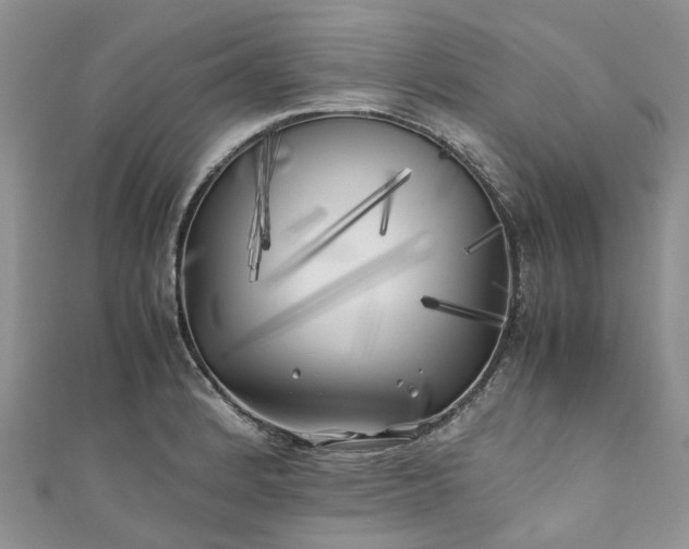 X0000111011184200906261513