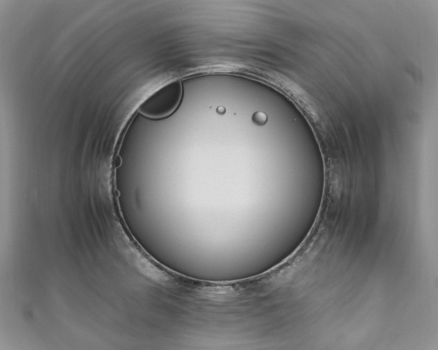 X0000111011186200906261513