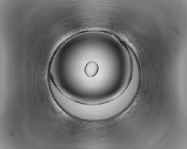 X0000111011189200906261513
