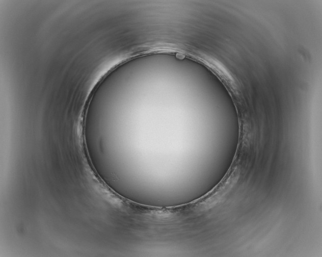 X0000111011190200906261513