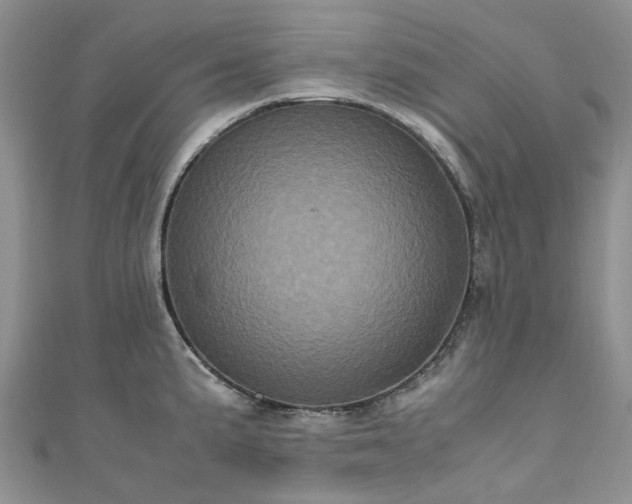 X0000111011191200906261513