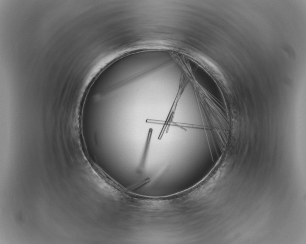 X0000111011192200906261513