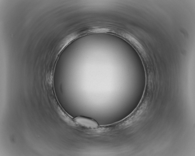 X0000111011193200906261513