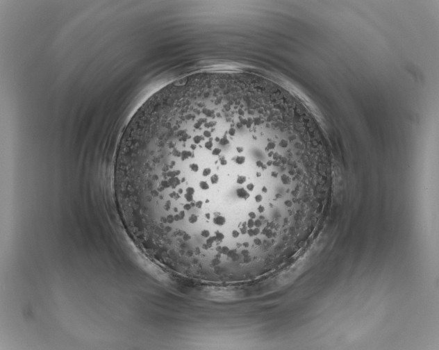 X0000111011194200906261513