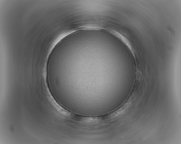 X0000111011195200906261513