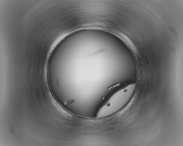 X0000111011196200906261513