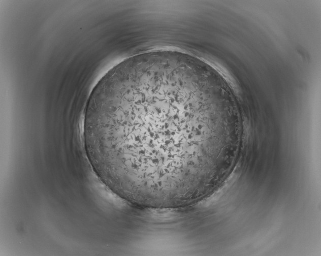 X0000111011198200906261513
