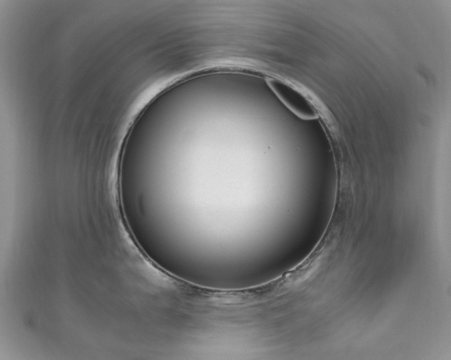 X0000111011199200906261513