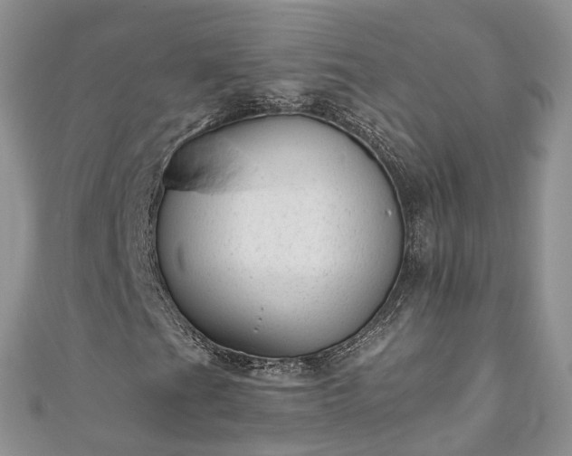 X0000111011201200906261512