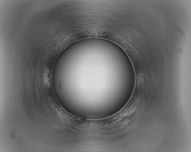 X0000111011202200906261512