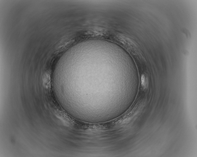 X0000111011203200906261512