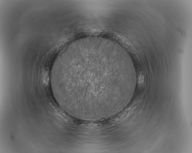X0000111011204200906261512