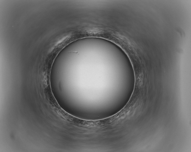 X0000111011205200906261512