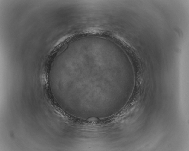 X0000111011206200906261512