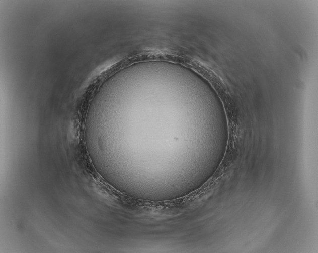 X0000111011207200906261512