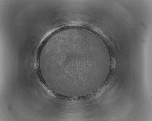 X0000111011208200906261512