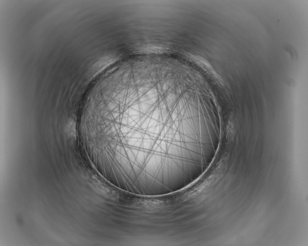 X0000111011209200906261512