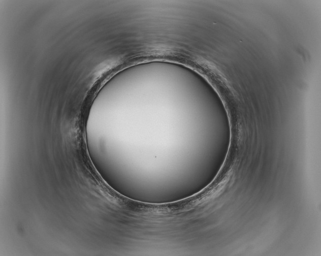 X0000111011210200906261512