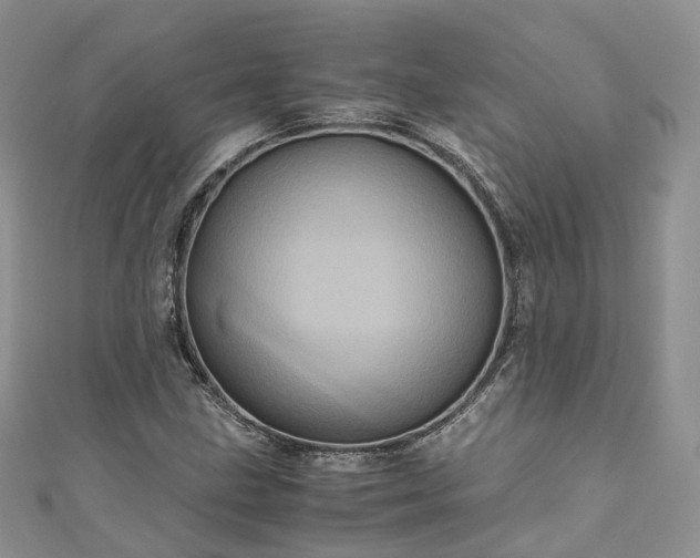 X0000111011211200906261512