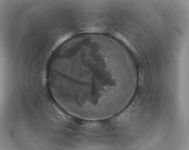 X0000111011213200906261512