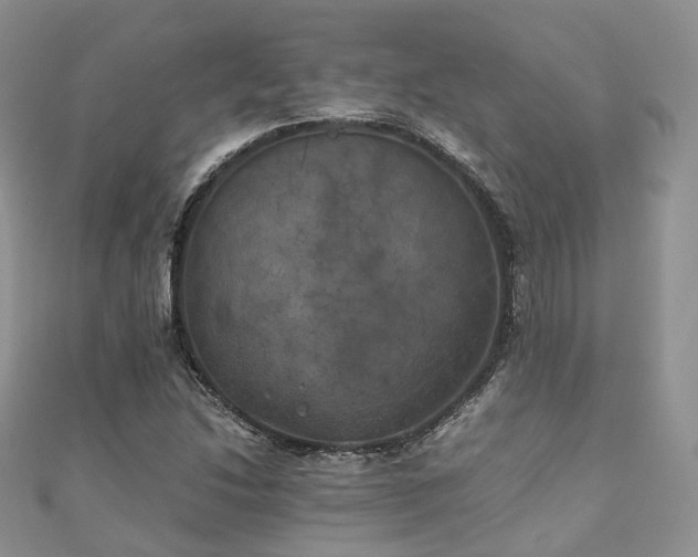 X0000111011214200906261512