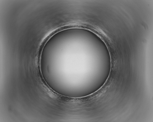 X0000111011216200906261512