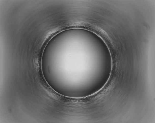 X0000111011218200906261512