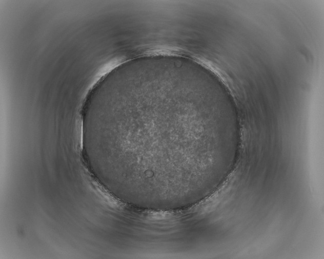 X0000111011219200906261512