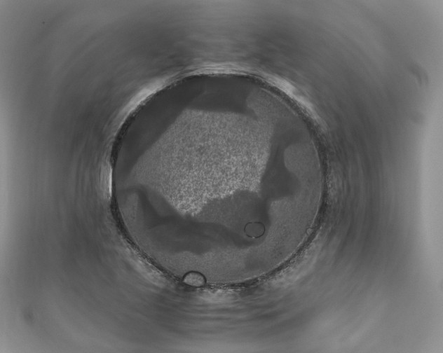 X0000111011221200906261513