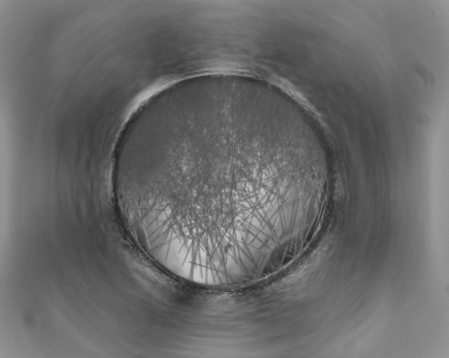 X0000111011222200906261513