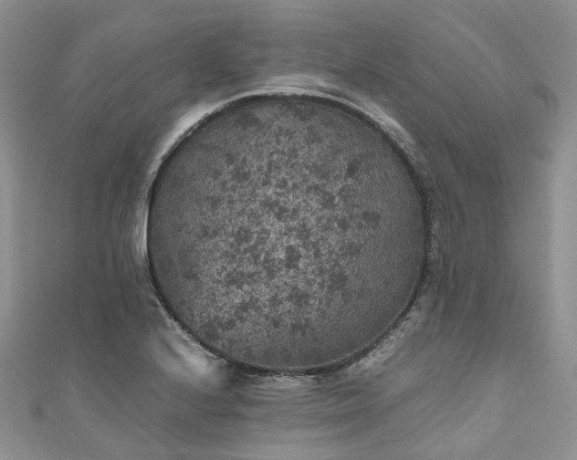 X0000111011224200906261513
