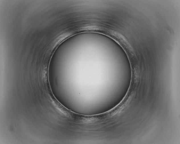 X0000111011225200906261513
