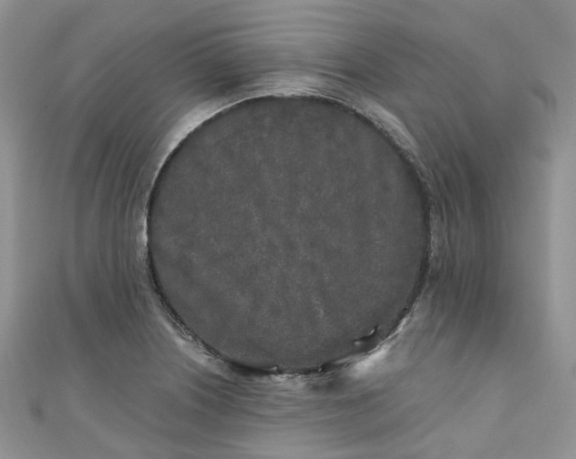 X0000111011226200906261513