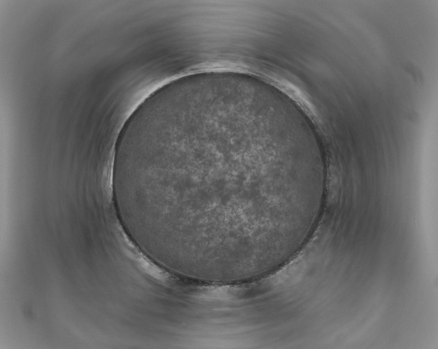 X0000111011228200906261513