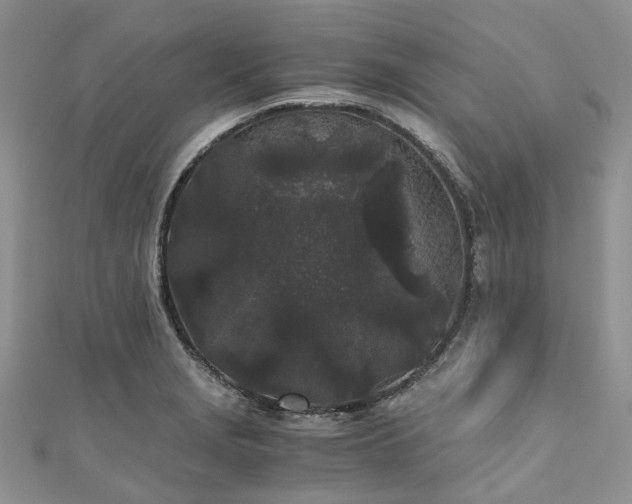 X0000111011229200906261513