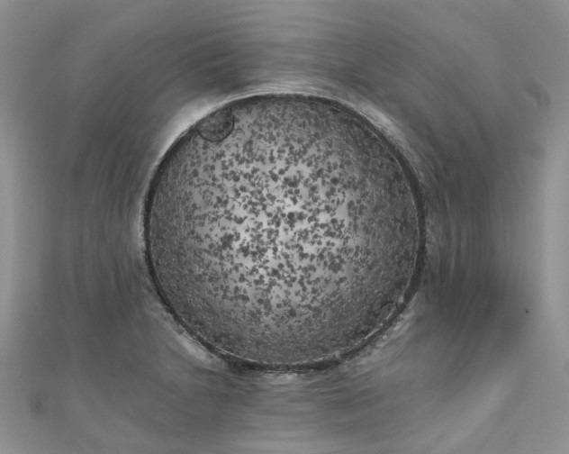 X0000111011230200906261513