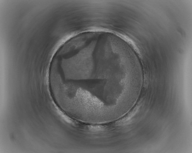 X0000111011231200906261513