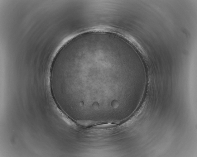X0000111011232200906261513
