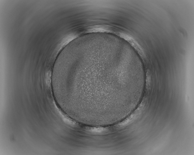 X0000111011233200906261513