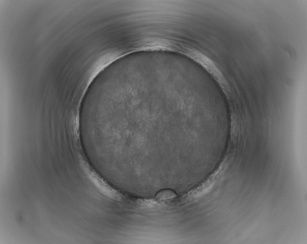 X0000111011234200906261513