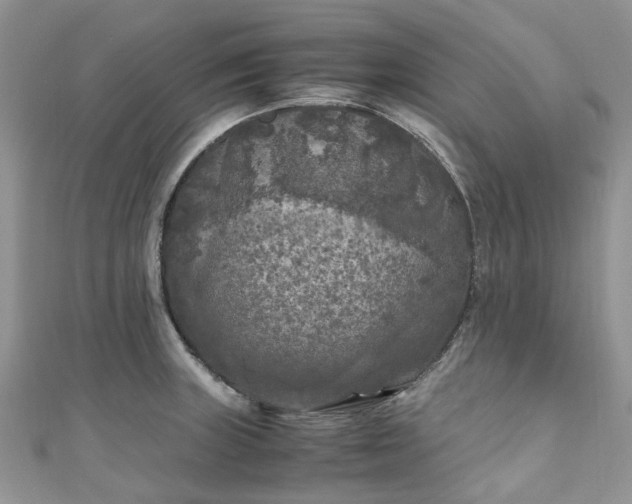 X0000111011235200906261513