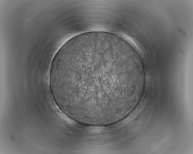 X0000111011236200906261513