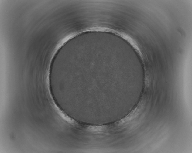 X0000111011237200906261513